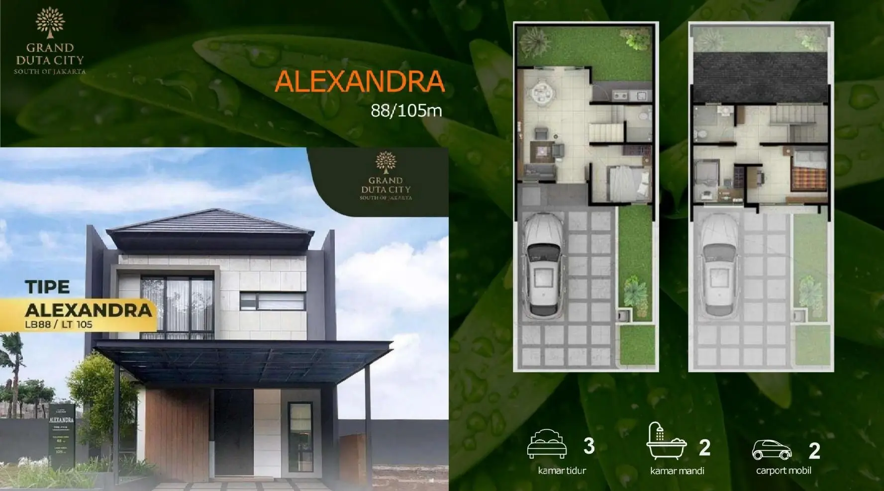 alexandra