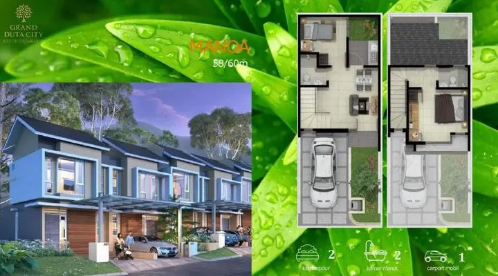 manoa